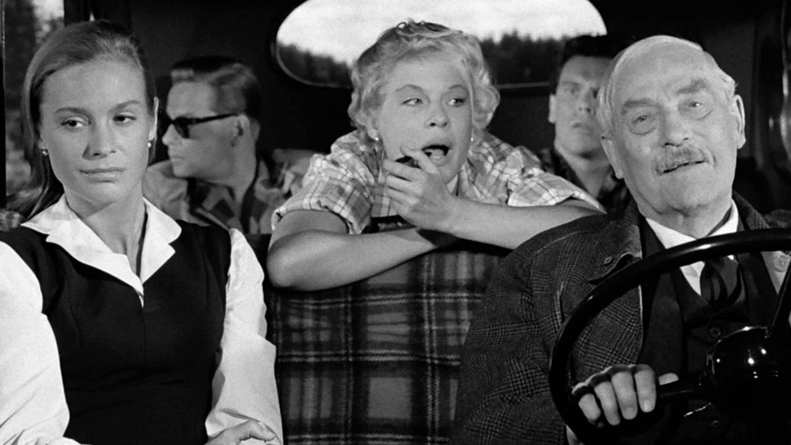 Wild Strawberries