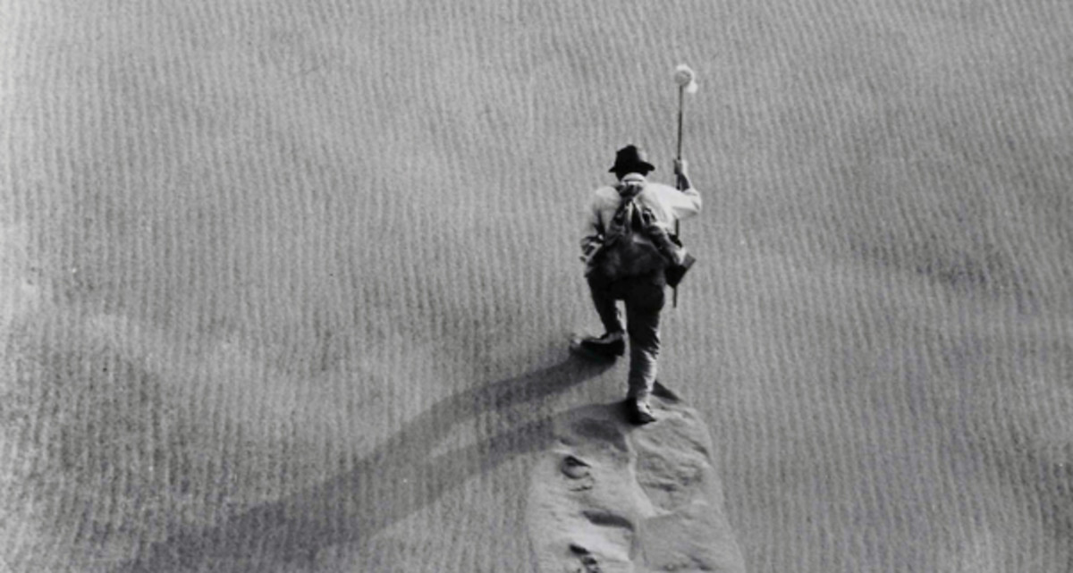 Woman in the Dunes